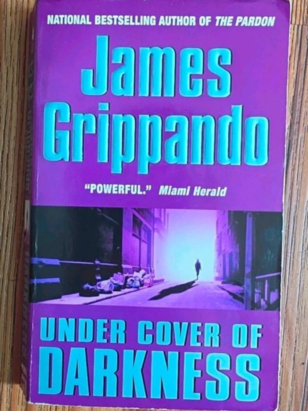 Under Cover of Darkness by James Grippando, Paperback
